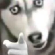 2439226241