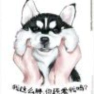 xiaoqiangqw