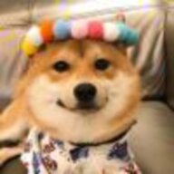 Dami