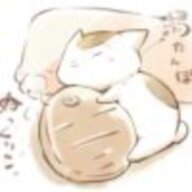 清歌与风