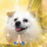 幸子dona
