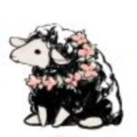 伯爵猫
