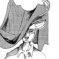 dioizayoi