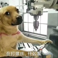 秋秋秋