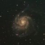 voynova