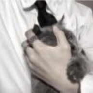 JHFHJ