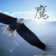 夜修逆