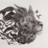 younglion1230
