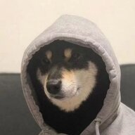绿头怪