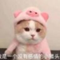续写不败传说