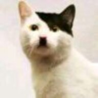 牧苏苏