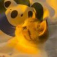 垃圾小果