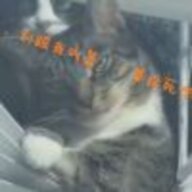 180360884