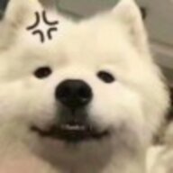 xqcc