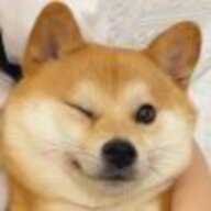 1771064804