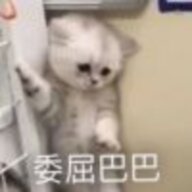 silentshiyue