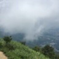 岑夫子