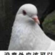你的友好邻居