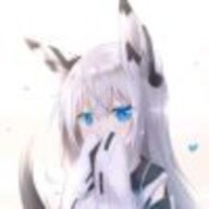2951774037