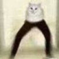 631243713