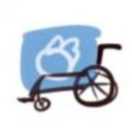 不是蕨毛