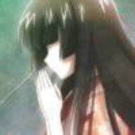猫猫最棒了