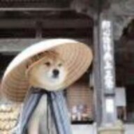 提笔化清雨