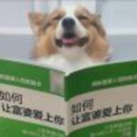 九日可可