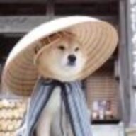 清酒浊清