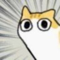 Amerexc