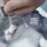 没权限