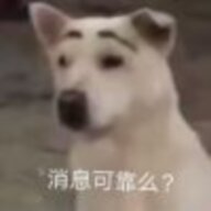 白日梦想家