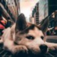 脚跟净泥儿
