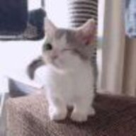 失去爱上