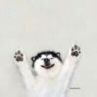 qwewuwu