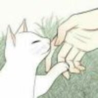 傻不愣登