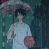 枫木霖霖