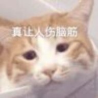 261620