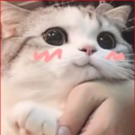 泰拉小菜菜