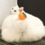抱抱熊