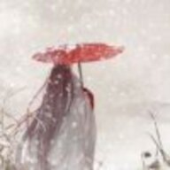暮雪不见君