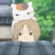 燕龟归
