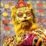 暴龙战士王