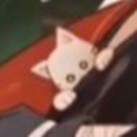 友人猫