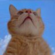 MelancholyCat