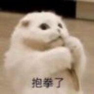 QWQ雨涵