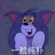 模组新人