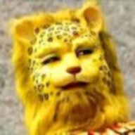 晓獾猹