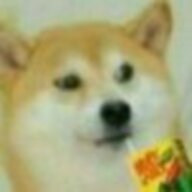 gppp