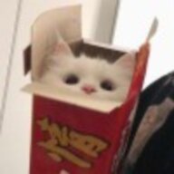 知安梓期烟